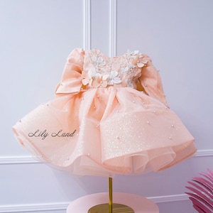 Ready to Ship - size 9-12 -Peach Birthday Baby Girl Dress, Long Sleeve Toddler Pageant Dress, Prom Ball Gown Dress for Special Occasion