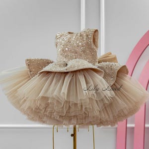 Cappuccino Tutu Birthday Baby Dress, Sparkling Flower Girl Dress, Tulle Toddler Special Occasion Prom Gown, Wedding Guest Pageant Dress