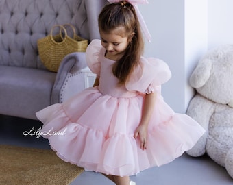 Blush Light Pink Puffy Flower Girl Dress, 1st Baby Birthday Dance Party Dress, Tutu Princess Gown, Pageant Toddler Special Occasion Dress