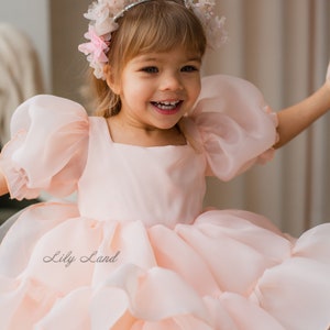 May include: A young girl wearing a light pink dress with a ruffled skirt and puffy sleeves. She is wearing a flower crown with pink and white flowers and silver accents. The dress has the text "Lily Land" on the skirt.