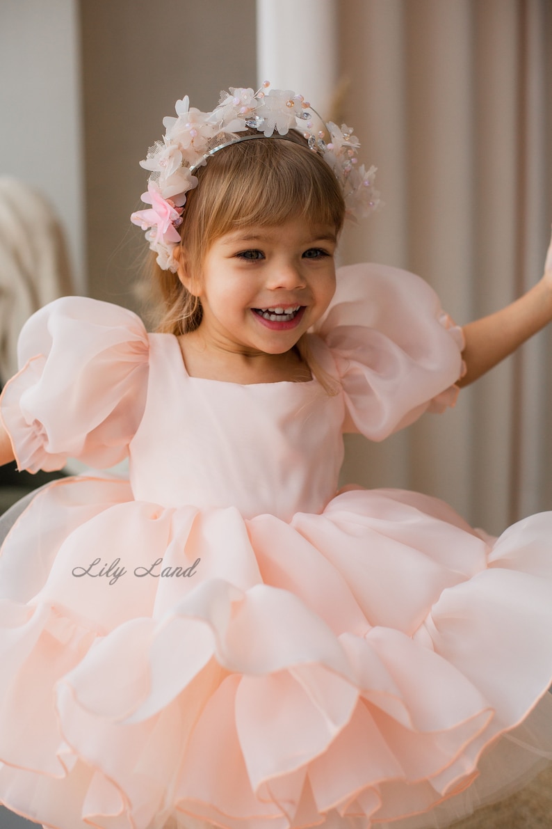 May include: A young girl wearing a light pink dress with a ruffled skirt and puffy sleeves. She is wearing a flower crown with pink and white flowers and silver accents. The dress has the text "Lily Land" on the skirt.