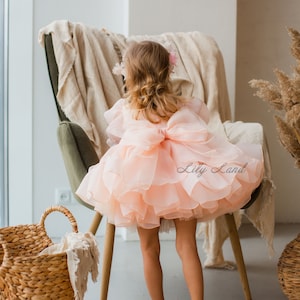 May include: A young girl wearing a peach-colored tulle dress with a large bow in the back. She is standing on a chair with a tan throw blanket on it. The girl is looking to the right of the image. The text "Lily Land" is visible on the dress.