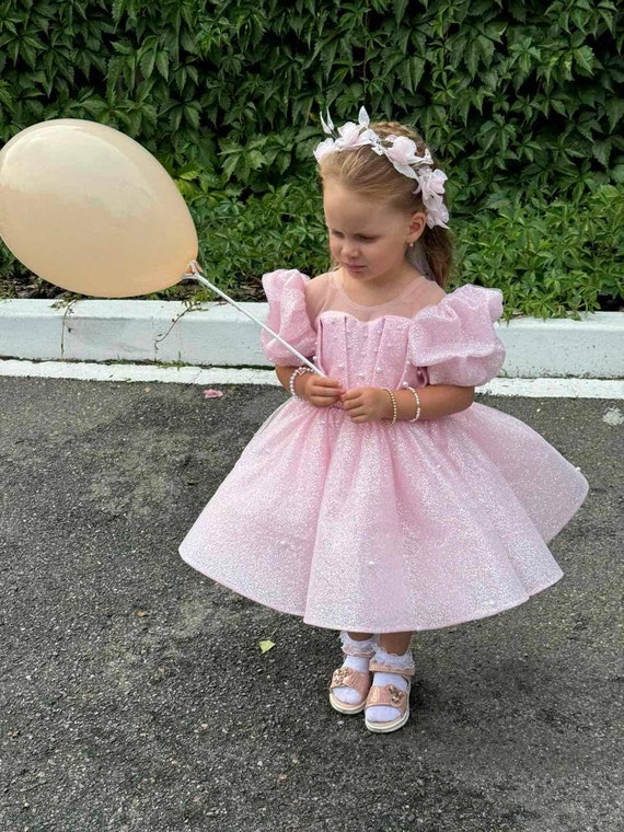 Blush Pink Puffy Birthday Baby Toddler Dress, Flower Girl Dress