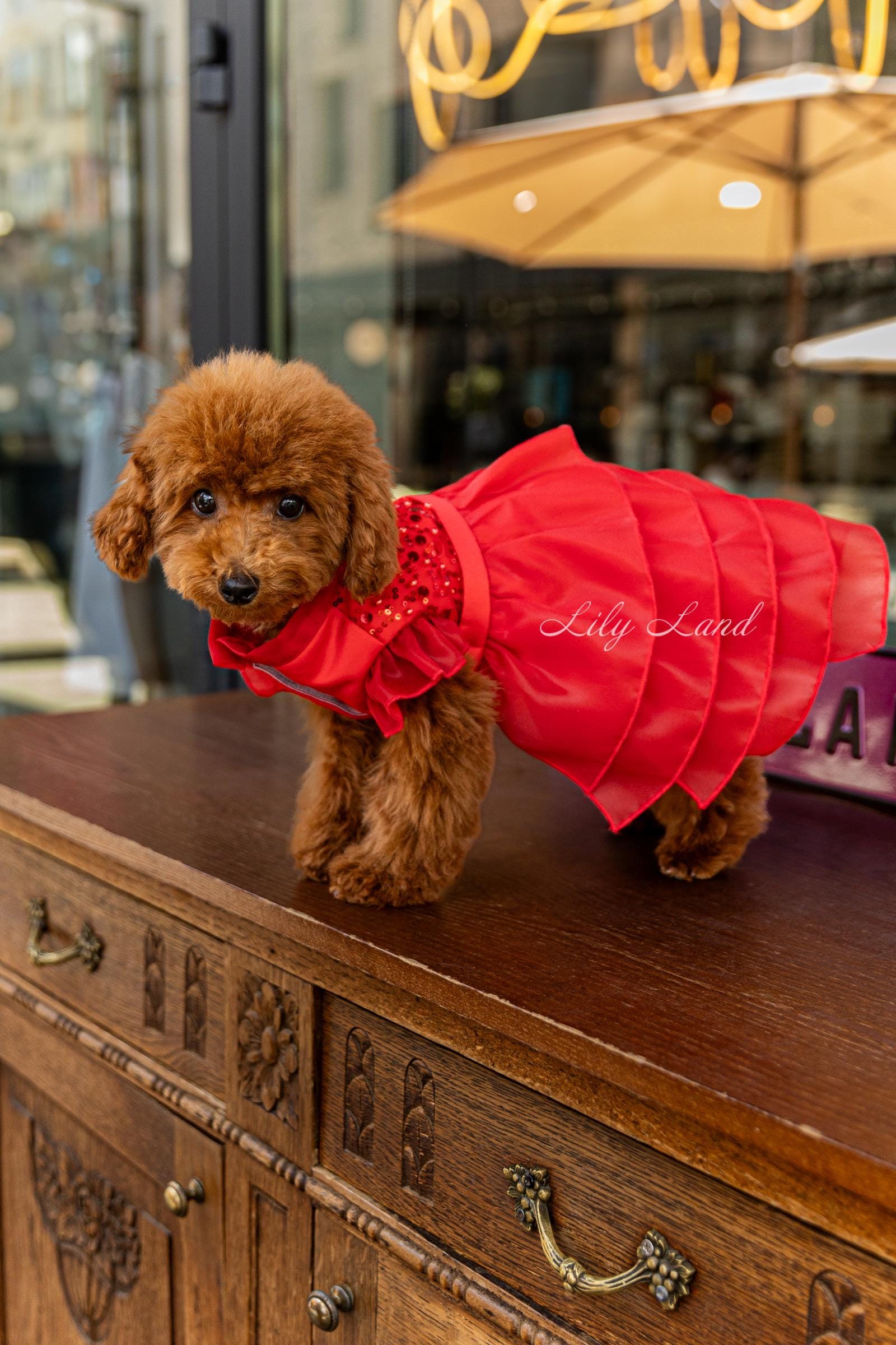 READY TO SHIP - Red Pet Dress, Wedding Flower Girl, Birthday Party