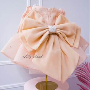Creative Education Butterfly Bliss Dress, Peach