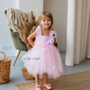 Pink Butterfly Dress, First Birthday Party Baby Dress, Flower Girl Gown, Tutu Toddler Dress, Special Occasion Dress, Fairy Princess Dress