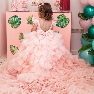 Ready To Ship Toddler Dress, Peach Flower Girl Dress, Birthday Baby Girl Dress, Tutu Puffy Dress With Train, Prom Ball Dress, Pageant Dress