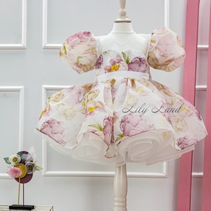 Floral Birthday Party Dress, Flower Girl Dress, Prom Graduation Pageant, Tutu Puffy Baby Gown, Special Occasion Toddler Wedding Guest Dress