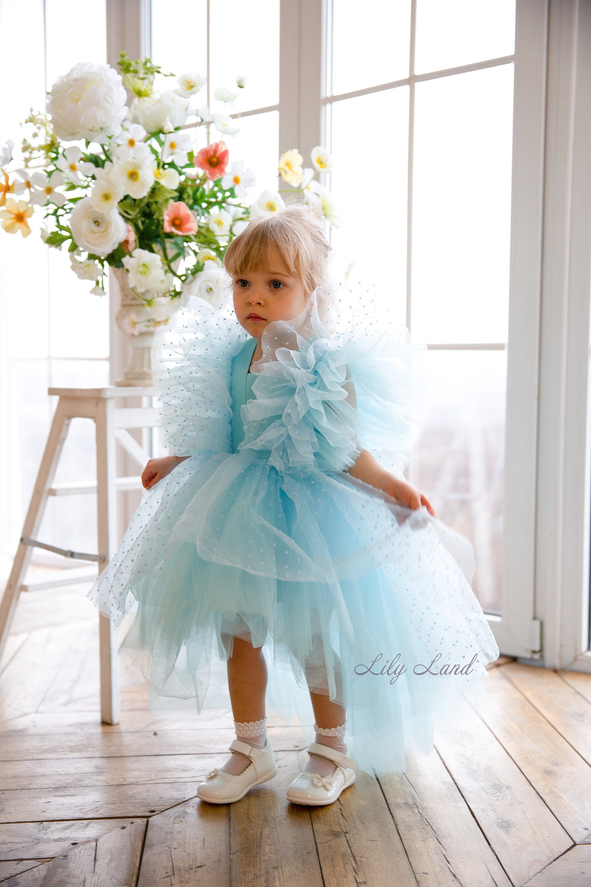 First Birthday Baby Dress Puffy Baby Dress Flower Girl | Etsy