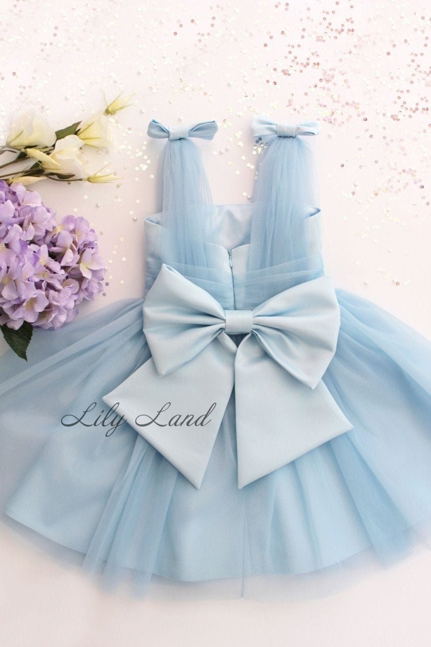 Baby girl in blue dress online