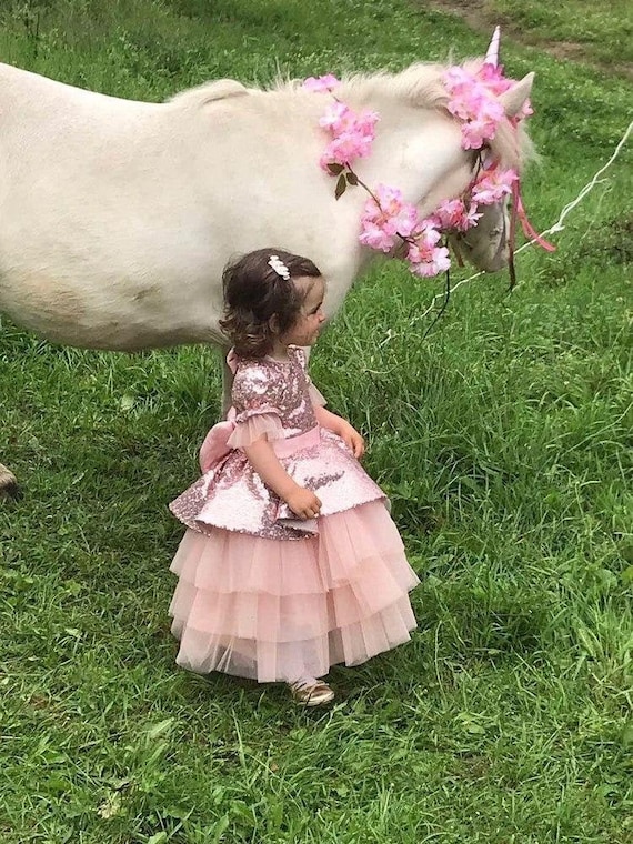 Anniversaire Fille Robe Blush Paillettes Robe Etincelante Tutu Etsy