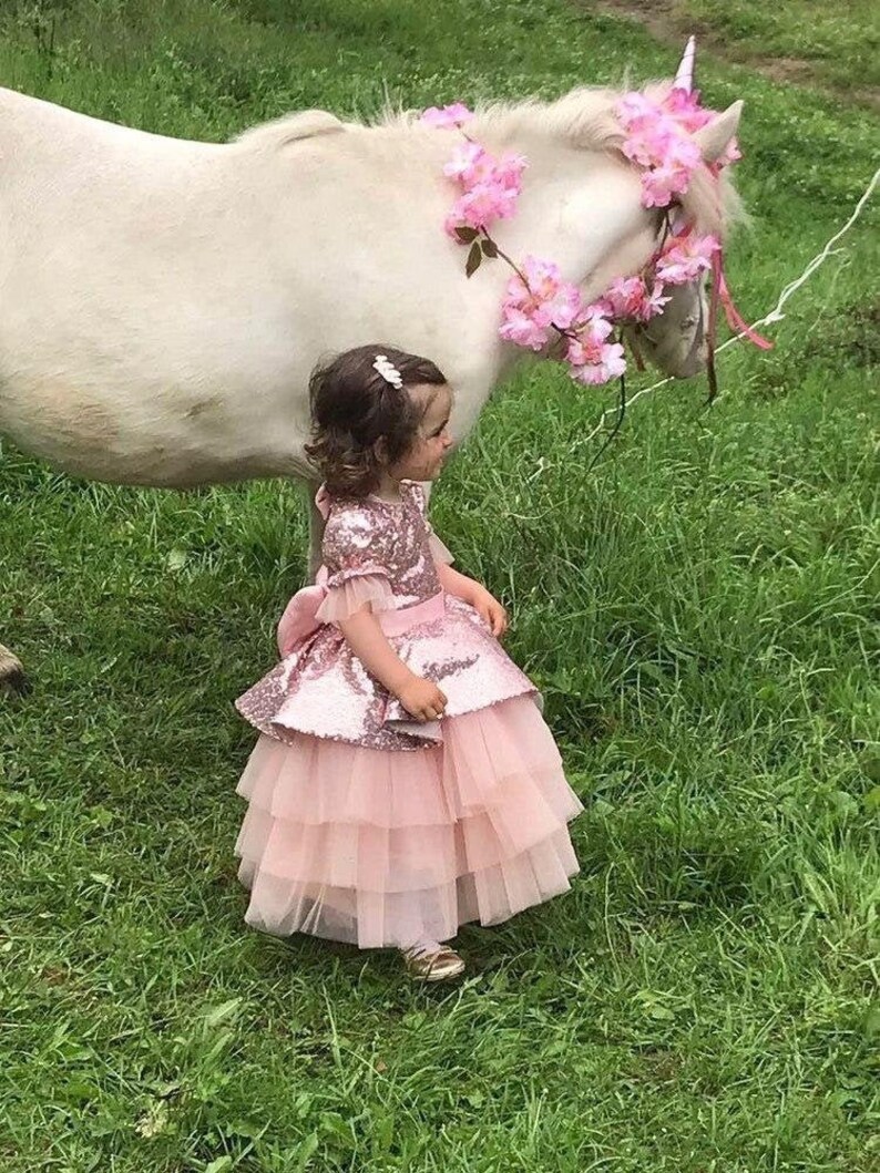 Birthday Girl Dress Blush Sequin Sparkling Dress Tutu Dress Etsy