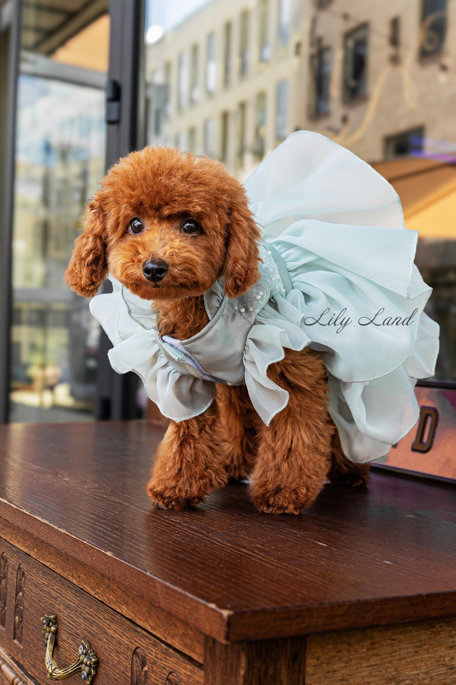 sage green dog dress ZAPAKA Women Olive Long Mother of the Bride Dress A-Line Off the Shoulder Ruched Satin Evening Dress, Olive / US18W main image 1