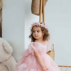 Blush Puffy Flower Girl Dress, First Baby Birthday Party Dress, Tutu ...