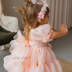 May include: A little girl wearing a peach-colored tulle dress with a ruffled skirt and puffed sleeves. She is wearing a flower crown with pink flowers and a white headband. The dress has a bow on the back and the text "Lily Land" is visible on the dress.
