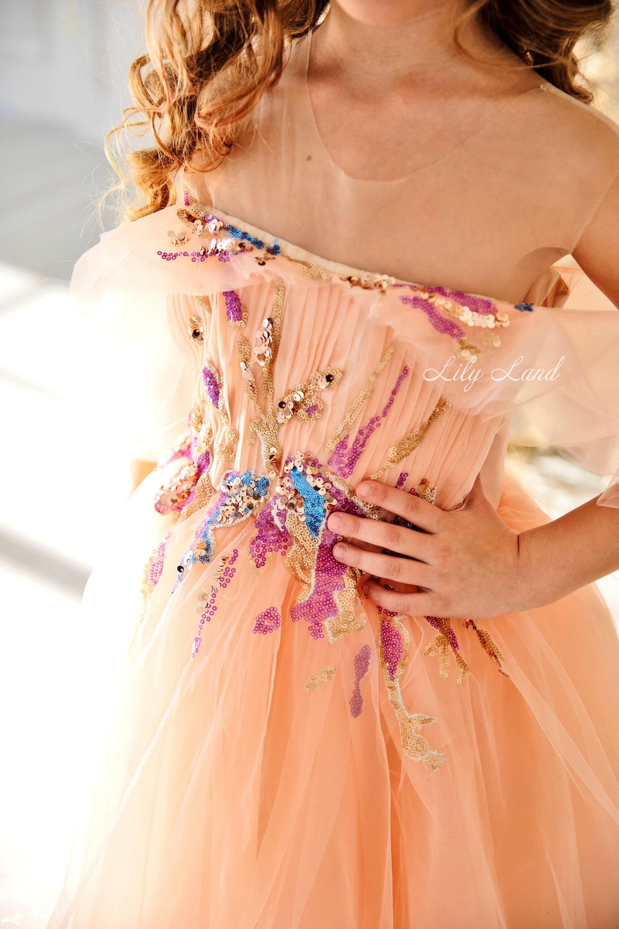 Peach Flower Girl Dress, Birthday Party Hi Lo Embroider Pageant Prom Ball Gown, Tulle Junior Bridesmaid Graduation Wedding Guest Wear