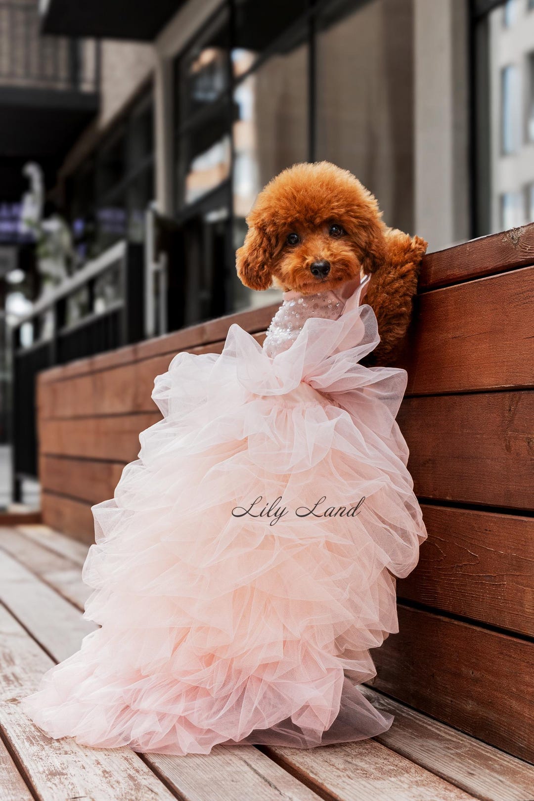 dog bridesmaid dress Woofylove Special Events Dress: Make Every Occasion Unforgettable  Barkwow Navy and dusty blue succulent dog dress is perfect for a rustic or boho wedding Flower Girl Dog Wedding Dress