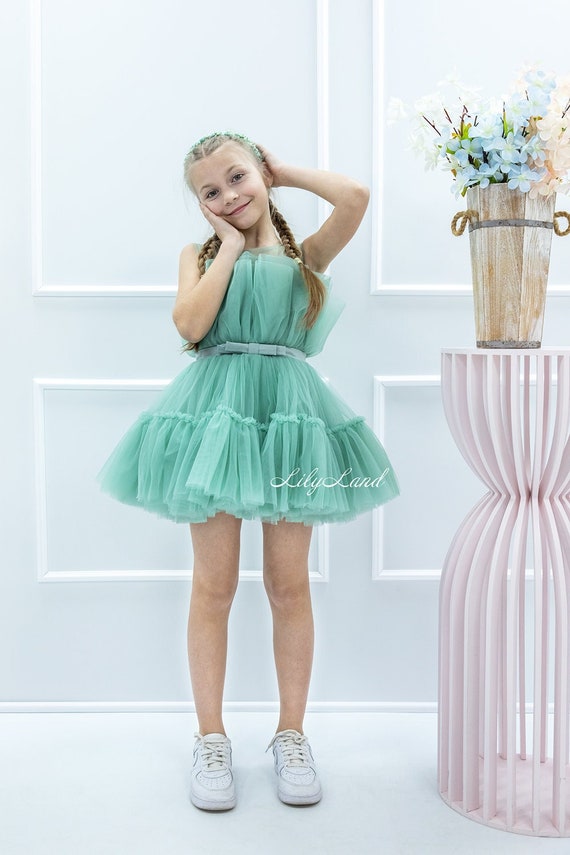 Sage Green Birthday Tulle Tutu Birthday Dress, Special Occasion Baby Dress, Pageant Prom Dance Party Photoshoot Gown, Flower Girl Dress