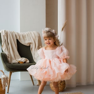 May include: A young girl wearing a light pink tulle dress with a ruffled skirt and puffy sleeves. She is wearing a flower crown and smiling. The dress has the text "Lily Land" printed on the skirt.