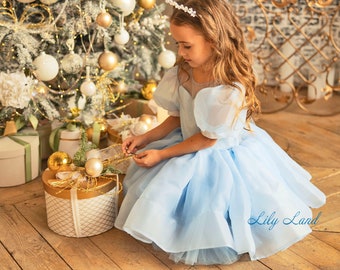 Blue Birthday Party Girl Dress, Flower Girl Dress, Tutu Organza Dress, Puff Sleeve Dress, Prom Dress, Princess Dress