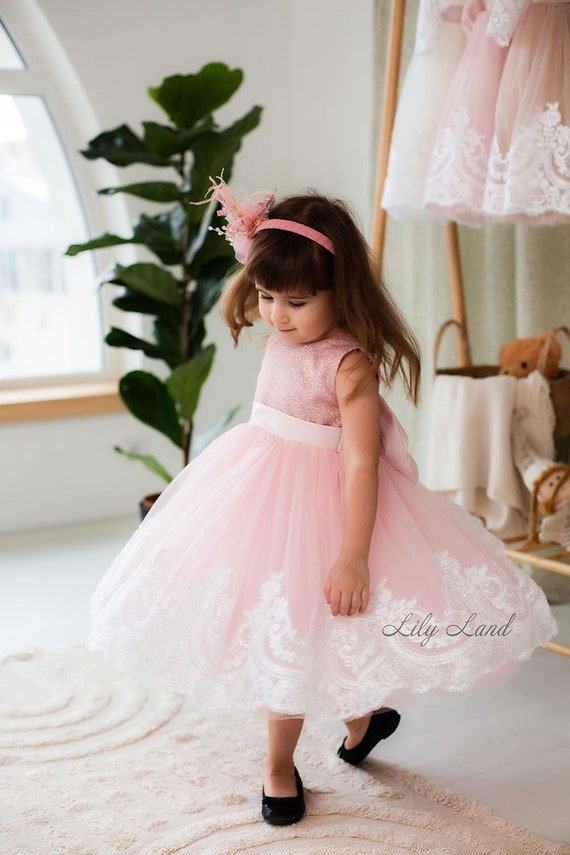 pink baptism dress Blush Lace Dress, Flower Girl Dress, Christening Gown Dress, Baby Girl Dress, First Baptism Dress, Summer Dress, Princess Dress, Tutu Dress