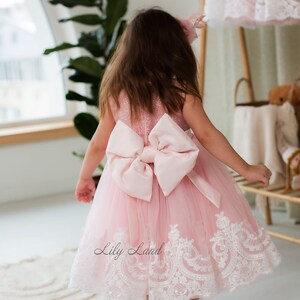 Pink Baby Birthday Dress Children's Communion Dress