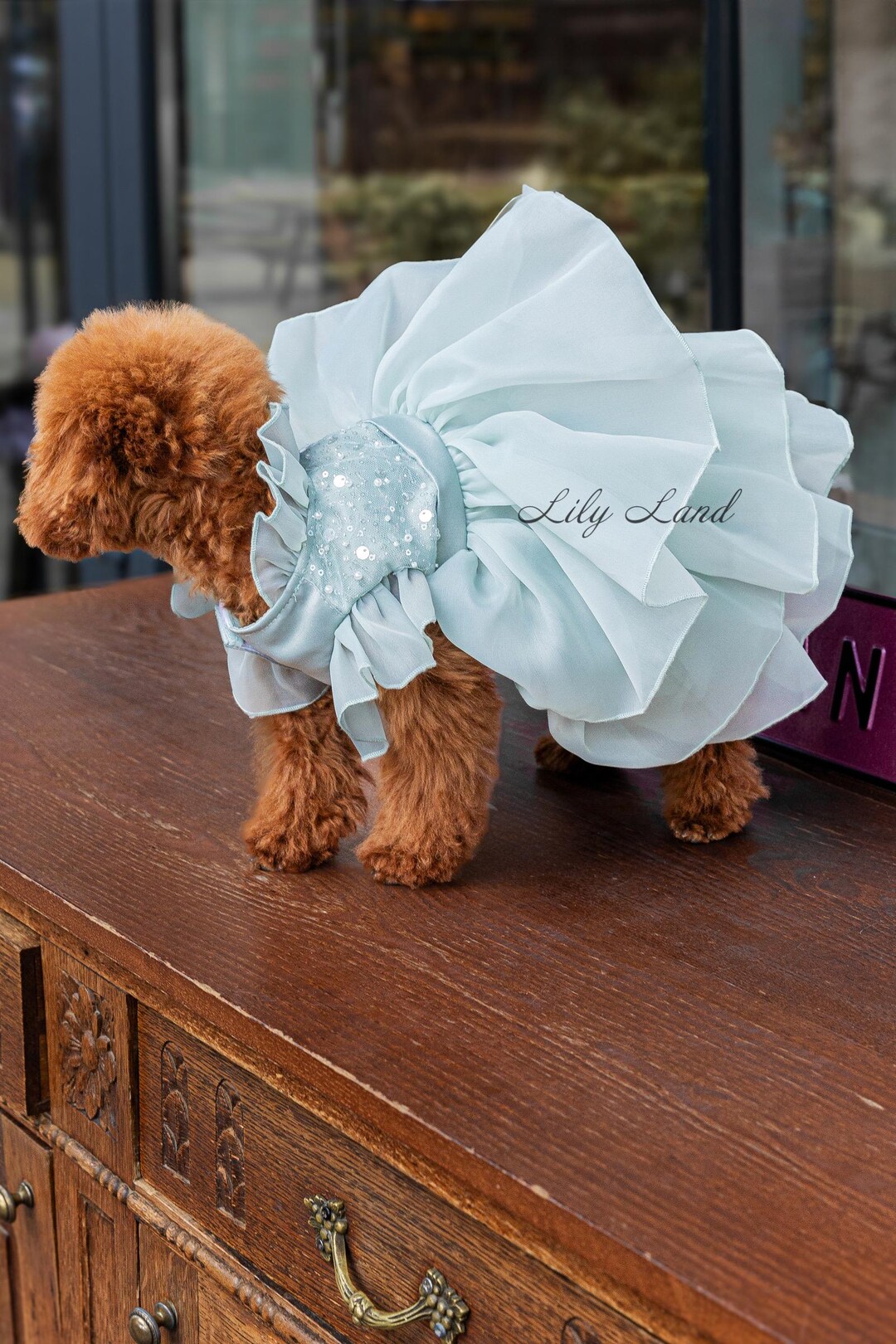 Sage Green Pet Dress, Wedding Flower Girl, Birthday Party Clothes, Puppy  Photoshoot Outfit, Matching Set Look, Handmade Dog Cat Accessories - Etsy