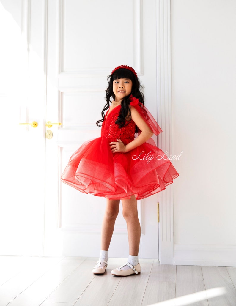 Birthday Party Girl Dress Red Tutu Tulle Dress First Etsy