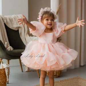 May include: A young girl wearing a light pink tulle dress with a ruffled skirt and puffed sleeves. She is wearing a silver headband with pink flowers and has her arms outstretched. The dress has the text "Lily Land" printed on the skirt.