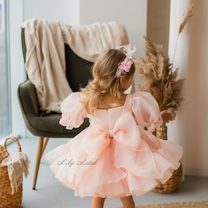 READY TO SHIP - Peach Tutu Puffy Flower Girl Dress, First Baby Birthday ...
