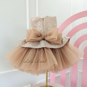 Cappuccino Tutu Birthday Baby Dress, Sparkling Flower Girl Dress, Tulle Toddler Special Occasion Prom Gown, Wedding Guest Pageant Dress