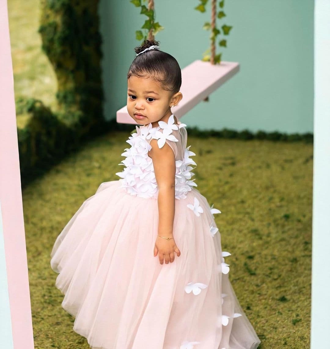 butterfly dress girl