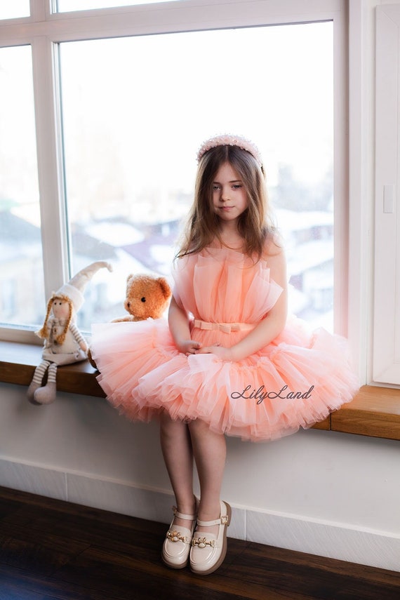 Peach Tulle Tutu Dress, Knee Length Dance Party Baby Dress, Pageant  Birthday Princess Prom Gown, Special Occasion Flower Girl Dress - Etsy