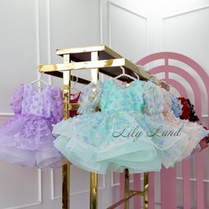 Butterflies Birthday Party Baby Outfit, Flower Girl, Wedding Look, Prom Pageant Gown, Graduation Dance Photoshoot Dress, Special Occasion