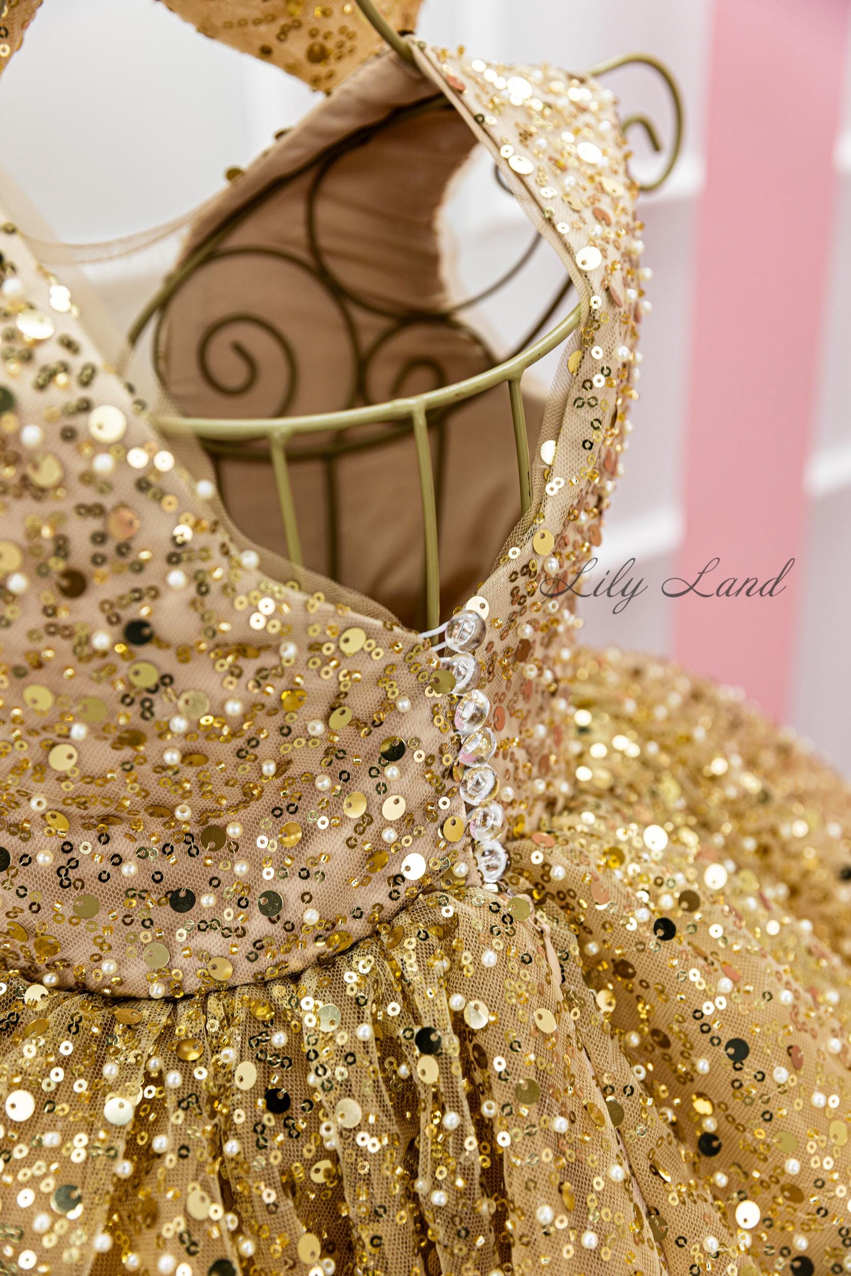 Gold Sparkling Tutu Birthday Baby Dress, Flower Girl, Special Occasion Prom Gown, Wedding Guest Pageant Smash Cake Outfit, V-neck Bow Dress Gold Sparkling Tutu Birthday Baby Dress, Flower Girl, Special Occasion Prom Gown, Wedding Guest Pageant Smash Cake Outfit, V-neck Bow Dress