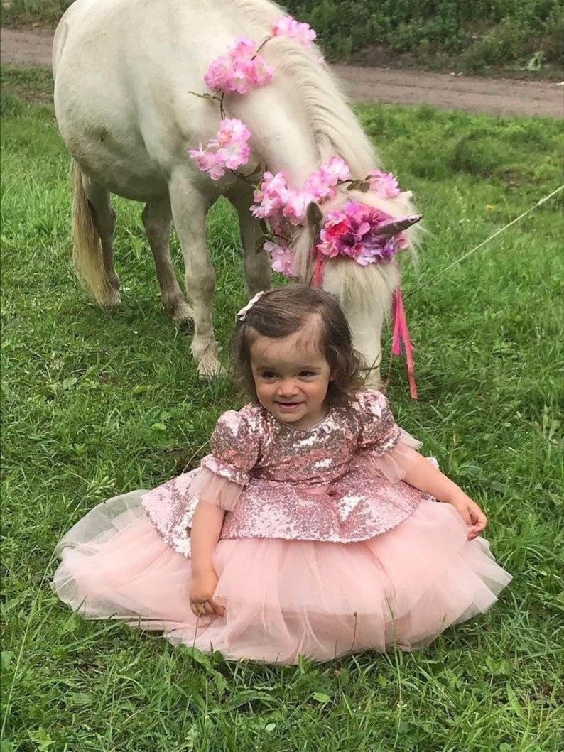 Birthday Girl Dress Blush Sequin Sparkling Dress Tutu Dress Etsy