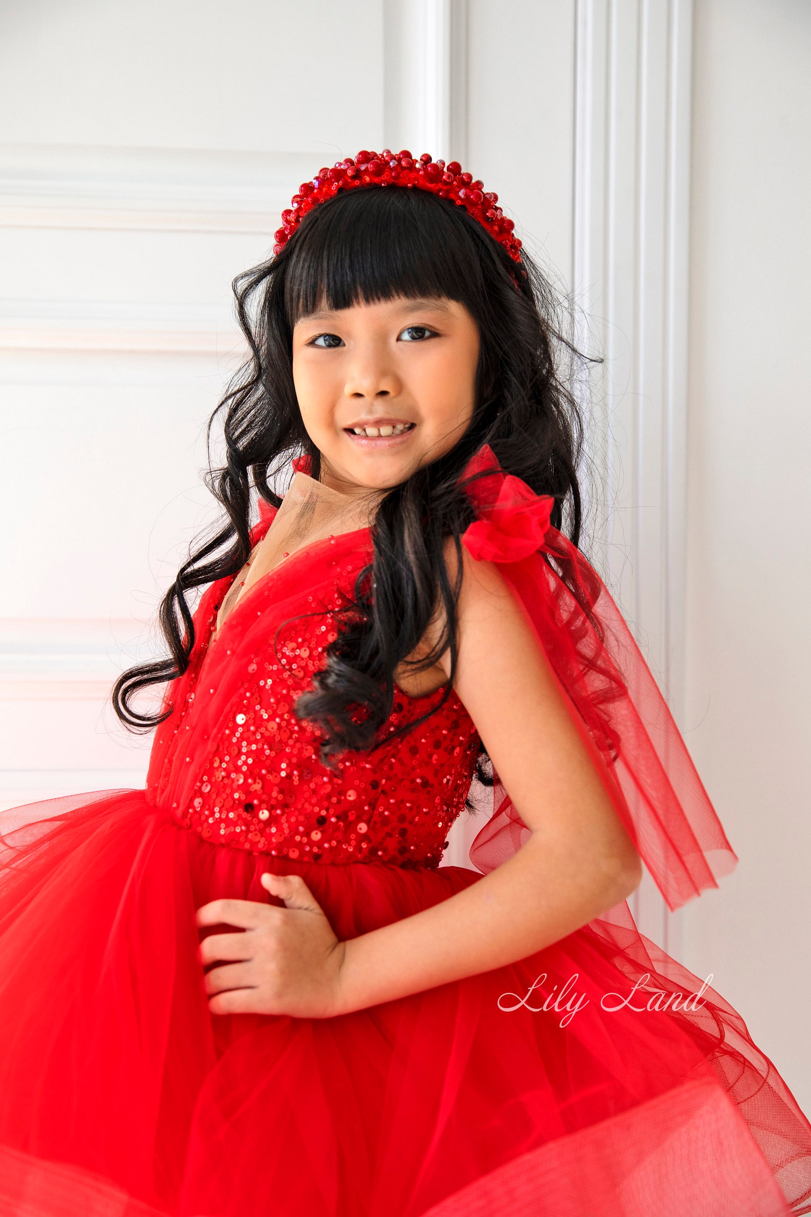 Birthday Party Girl Dress Red Tutu Tulle Dress First Etsy