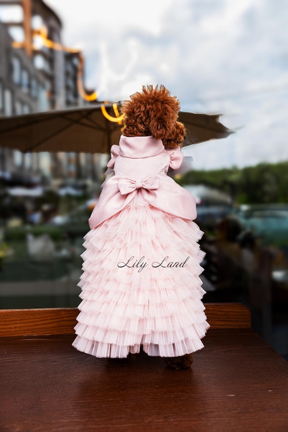 Blush Pink Pet Dress, Wedding Flower Girl, Birthday Party Cloth, Puppy  Photoshoot Outfit, Matching Set Look, Handmade Dog Cat Accessories - Etsy  Israel