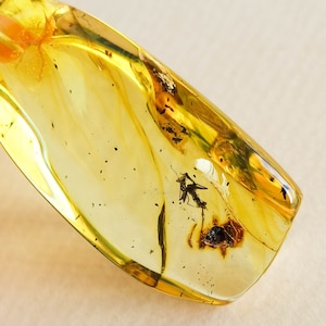 Pendentif insectes ambrés, pendentif ambre vert clair avec peu à l&#39;intérieur, ambre fossile avec de vrais moustiques, bijoux en résine pendentif naturel pour femmes