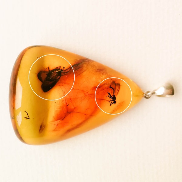 Unique triangle shape natural amber light yellow color pendant with insect, genuine amber statement pendant light cognac color with bits