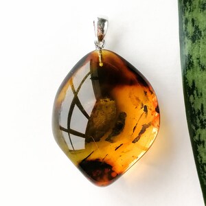 Dark Cognac Amber Pendant/ Royal Deep Color Amber Pendant/ - Etsy