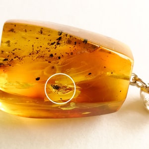 Pendentif ambre WOW avec petit insecte, cadeau pendentif ambre jaune clair de forme unique avec des morceaux, pendentif ambre vert femme avec mini inclusions