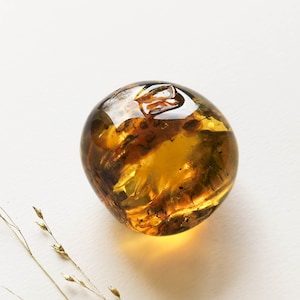 Dark round flat natural amber resin souvenir, home decor genuine amber gemstone, natural cognac color amber, amber stone memorabilia house image 1