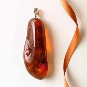 Grande pendente in ambra con insetto Argento 925, Fossili di pietra dell'albero, Esemplare per collezionisti amante della natura, rosso portafortuna autunno, Sollievo dallo stress