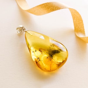 Unique amber pendant with bits inside, high-value gift for men with insects, amber pendant with mosquitoes, genuine amber inclusions inside