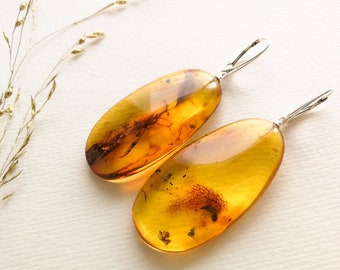 Amber insects earrings drop shape for women, clear yellow amber with inclusions, semi precious earring for her with bits inside, lemon amber