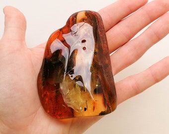 Amber With Insects Home Decoration, Large Oval Amber Resin