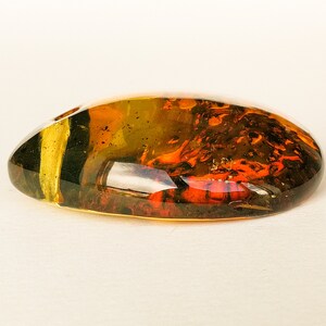May include: A large, oval-shaped piece of amber with a mix of brown, orange, and green colors. The amber has a translucent quality, and you can see through it to some extent.