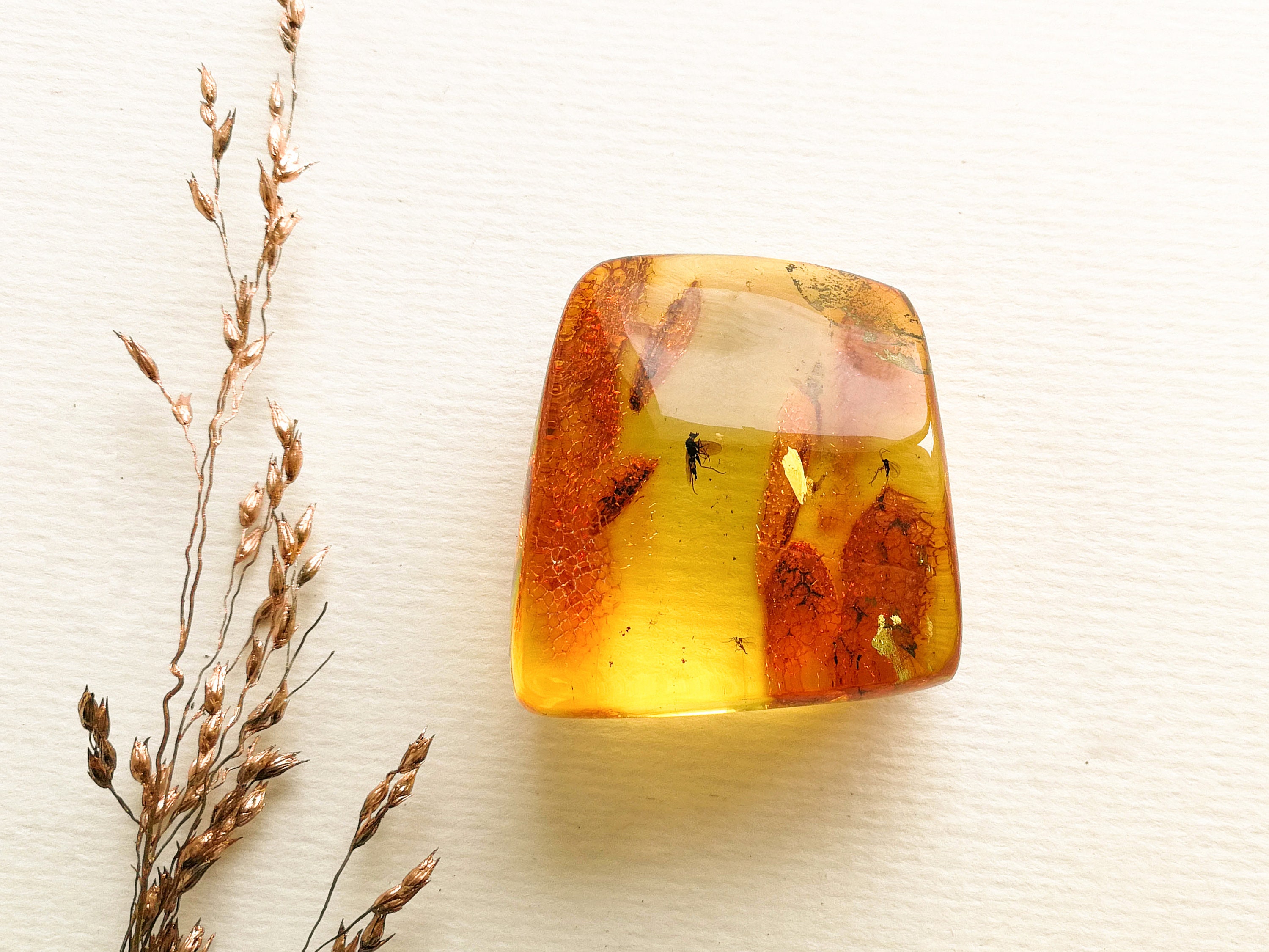 4Pcs Insect Specimen Amber Resin Insects Amber Resin Crafts Decorative Bug  Amber (Random Style)