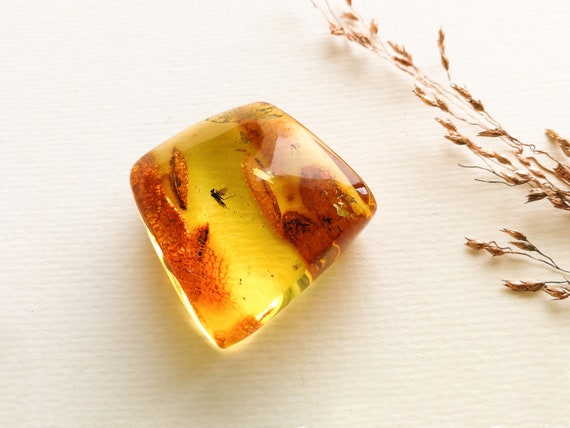 Pierre d'ambre orange avec des insectes, grand souvenir de petits morceaux  de résine ambrée épaisse, idée cadeau d'inclusions de décoration  spirituelle ambre jaune clair -  France